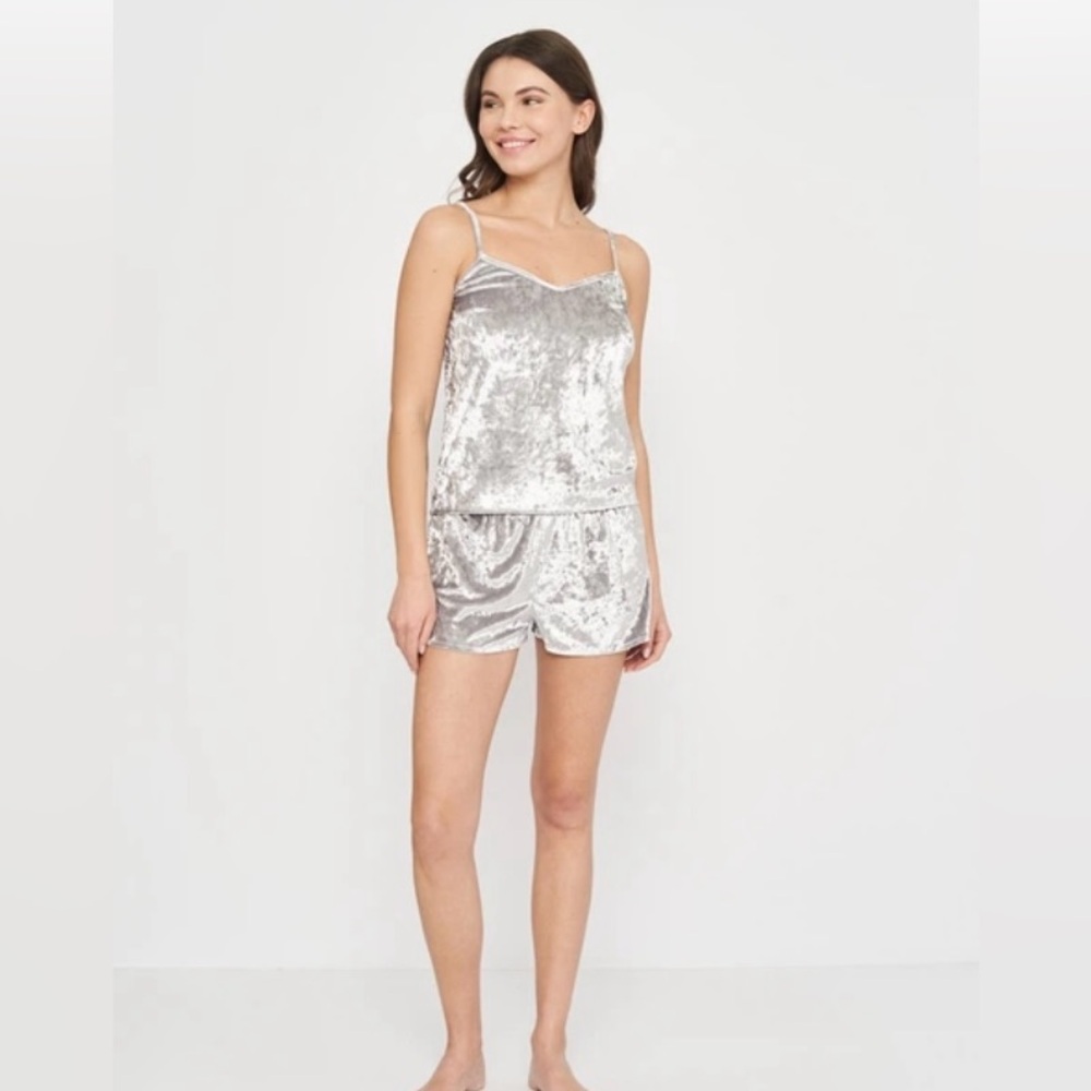 Danskin Silver Velvet Pajama Set
